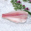 Picture of PANGASIUS FILLET, SEMI-TRIMMED