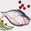 Picture of PANGASIUS BUTTERFLY FILLET